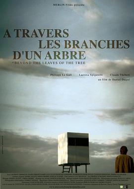 À travers les branches d'un arbre