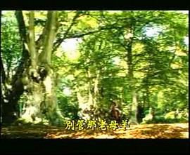 罗宾汉和他的快乐伙伴们