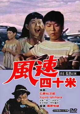 嵐の中を突っ走れ