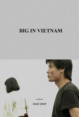 在越南