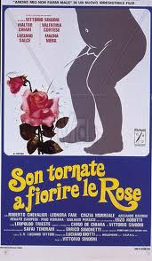 Son tornate a fiorire le rose