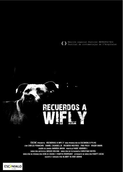 Recuerdos a Wifly