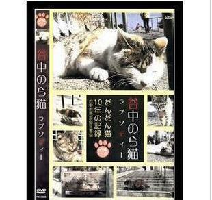 谷中的流浪猫狂想曲