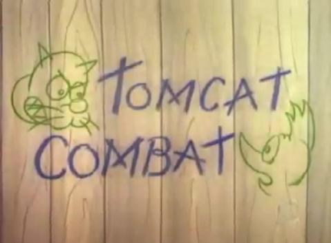 Tomcat Combat