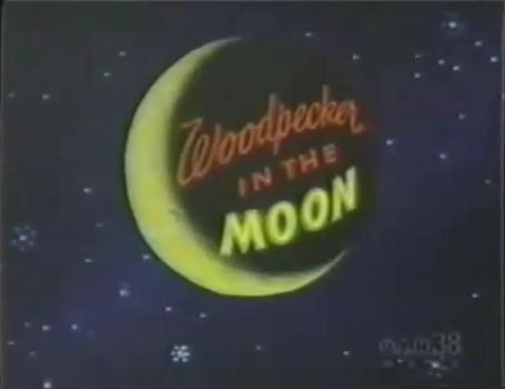 Woodpecker in the Moon