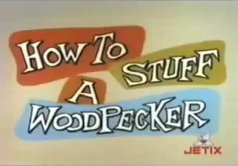 How to Stuff a Woodpecker