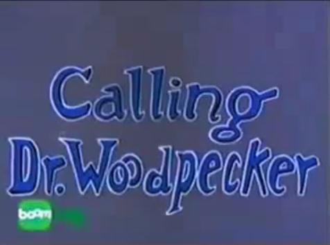 Calling Dr. Woodpecker