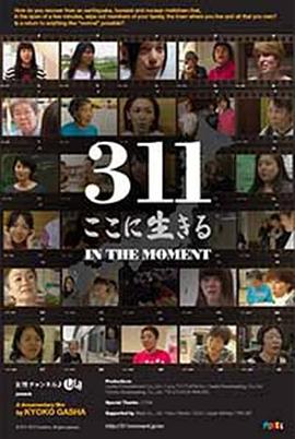 311生生长流