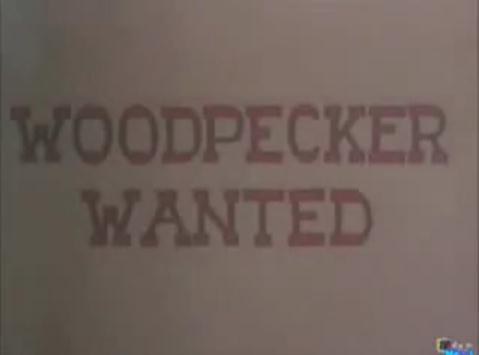 Woodpecker Wanted