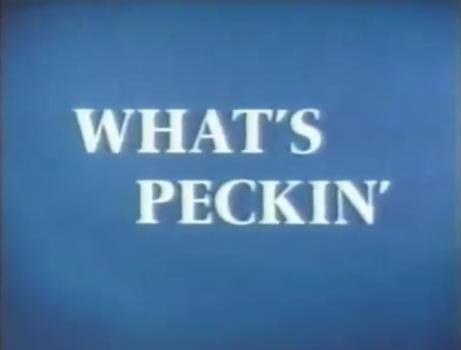 What's Peckin'
