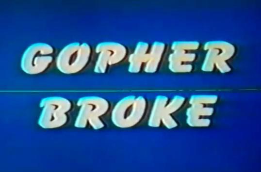 Gopher Broke