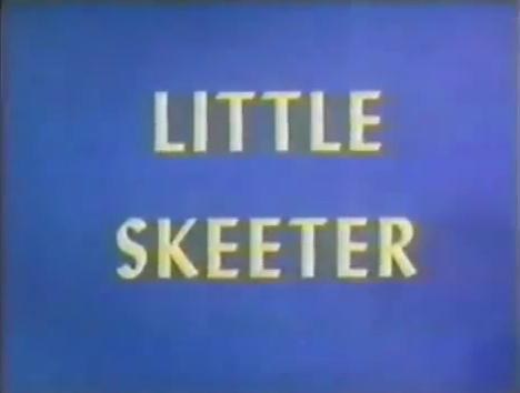 Little Skeeter