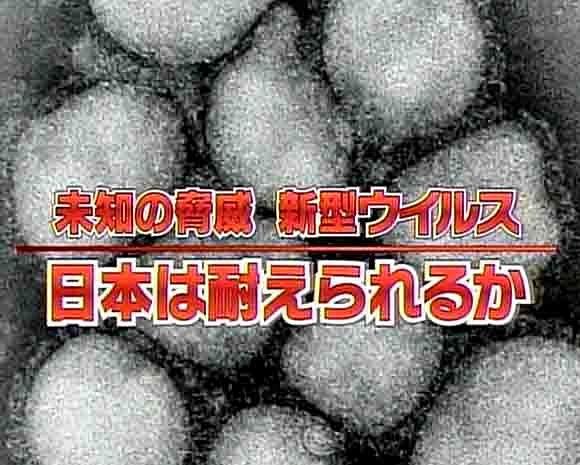 甲型流感：威胁与对策