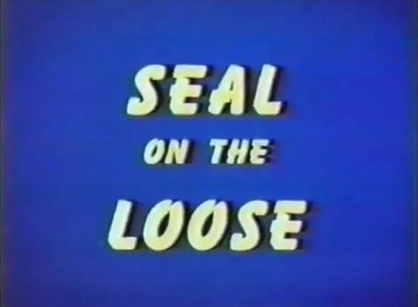 Seal on the Loose