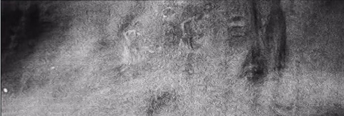 The Hyrcynium Wood