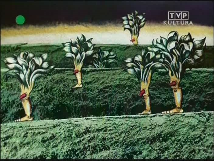 草丛中