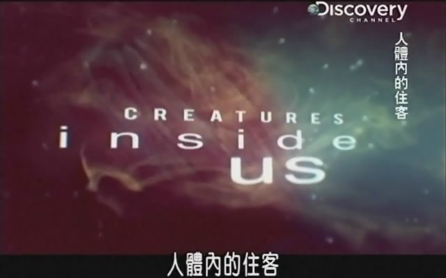 人體內的住客