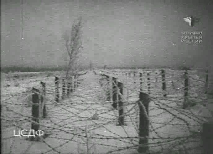 曼纳海姆防线