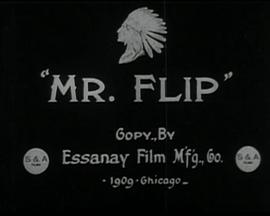 Mr. Flip