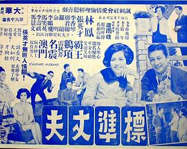 标准丈夫