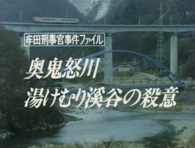 牟田刑事官事件ファイル6 奥鬼怒川湯けむり渓谷の殺意