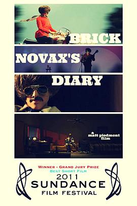 Brick Novax's Diary