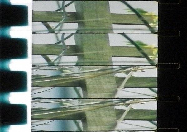 Matrix