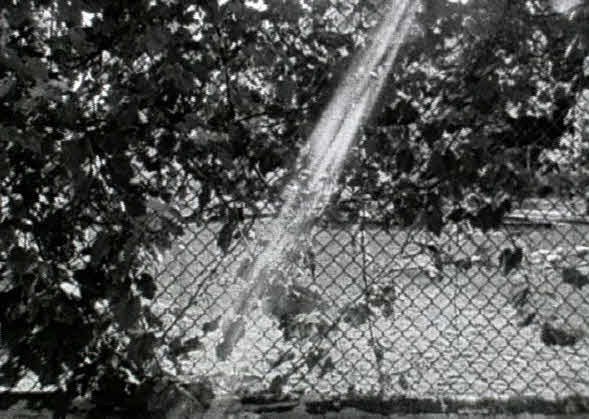 Four Toronto Films
