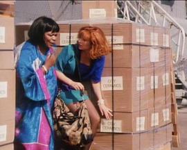 疯狂俏女佣
