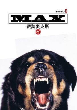 迅雷先锋