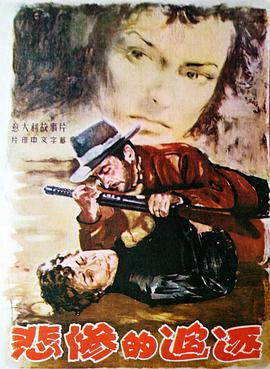 悲惨的追逐