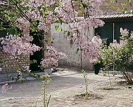 缓期执行