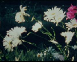 The Diaries of Vaslav Nijinsky