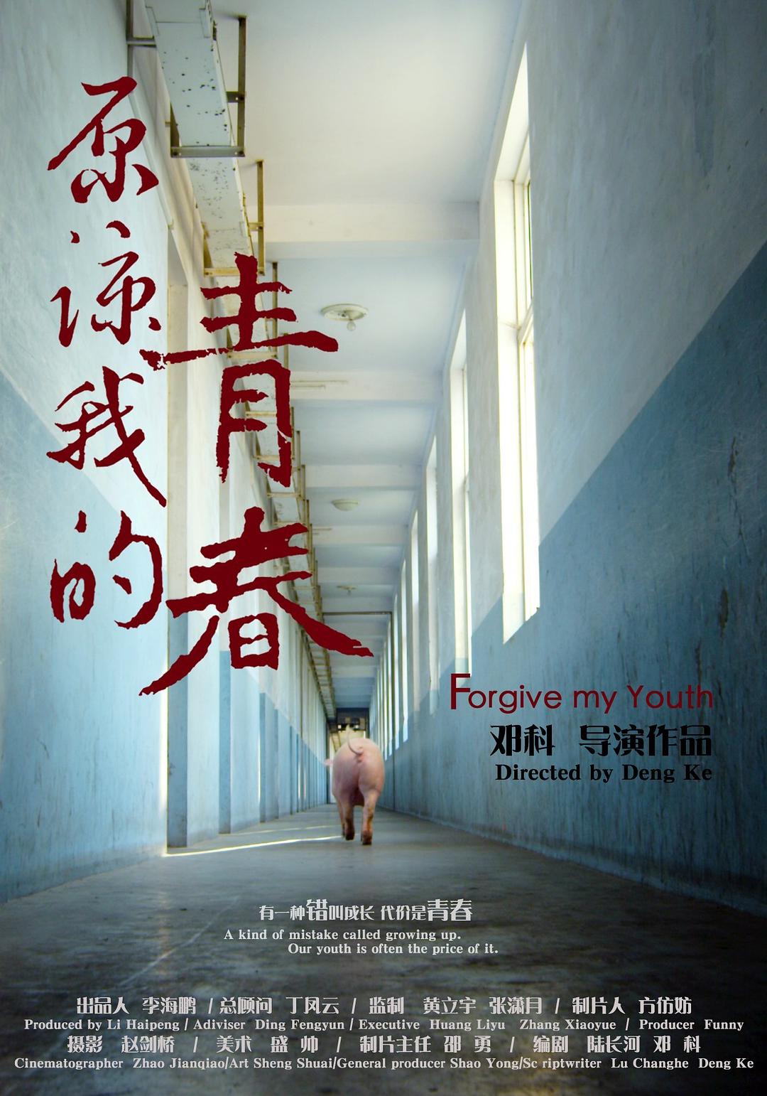 原谅我的青春