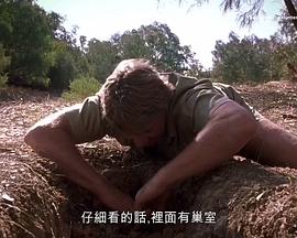 鳄鱼捕手