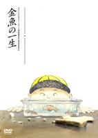 金鱼的一生