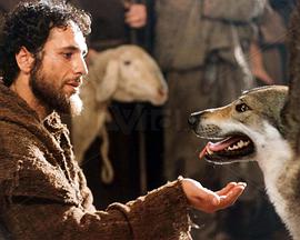 Francesco（TV）
