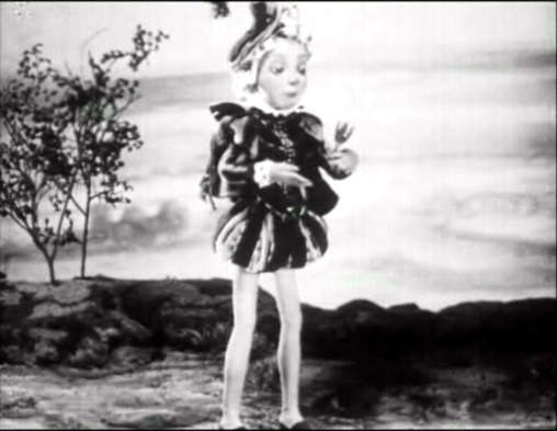 Fleur de fougère