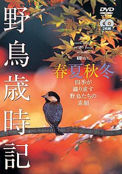 野鳥歲時記-春夏秋冬