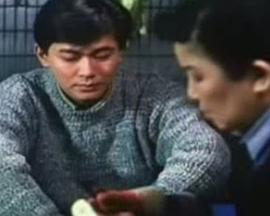 但愿人长久