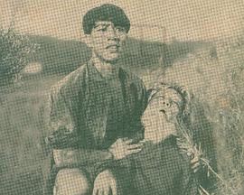 凯歌