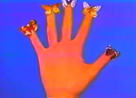 蝴蝶