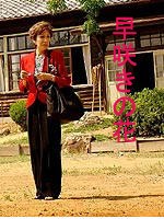 早开的花