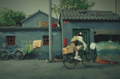 兔街