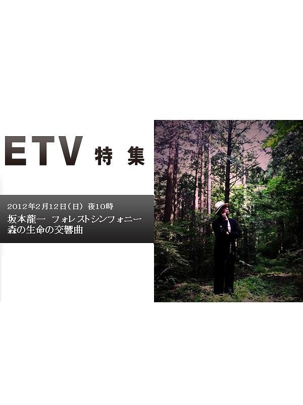 坂本龙一·森林交响曲