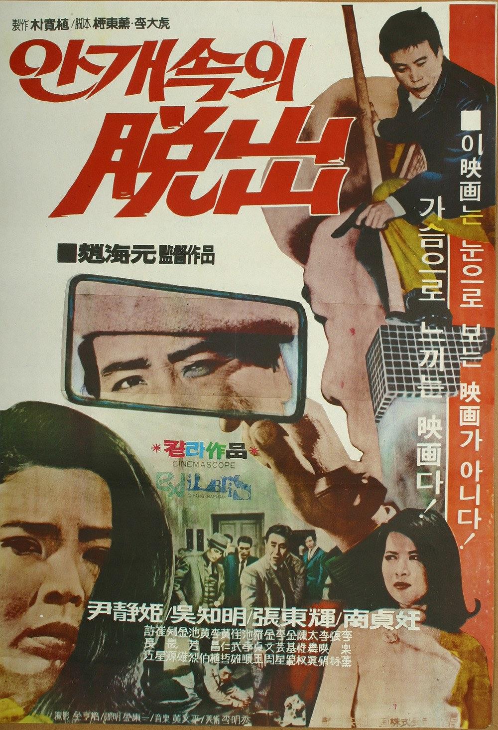 雾中逃出