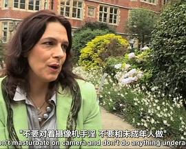 网络色情之害
