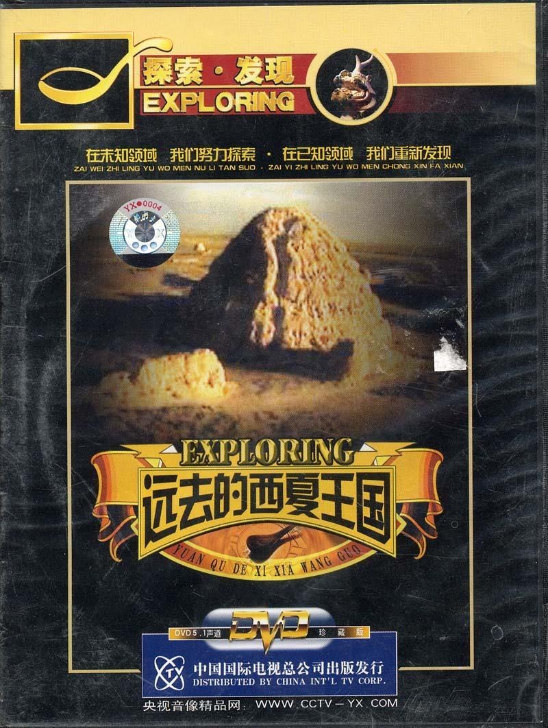 远去的西夏王国