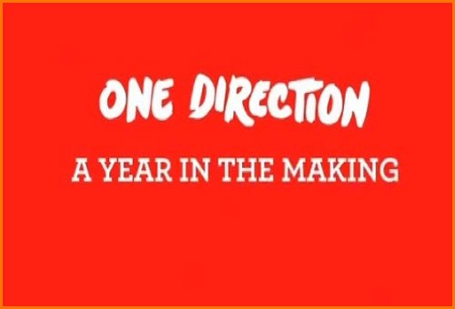One Direction: A Year in the Making