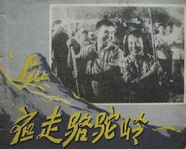 夜走骆驼岭